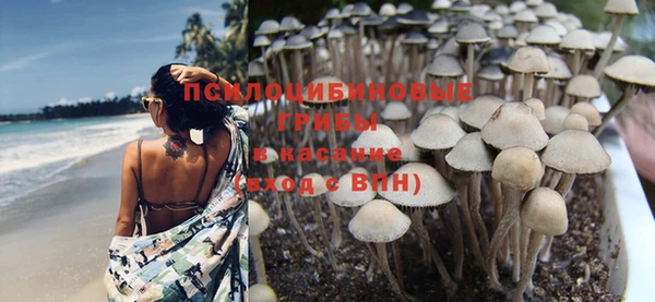 спайс Верхний Тагил