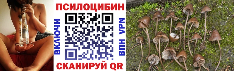 Галлюциногенные грибы GOLDEN TEACHER  Купить  Магадан 